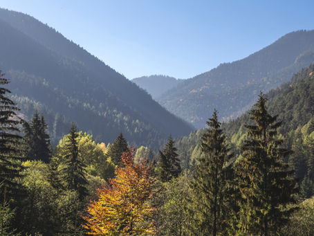 Tolkien's Story of Kullervo